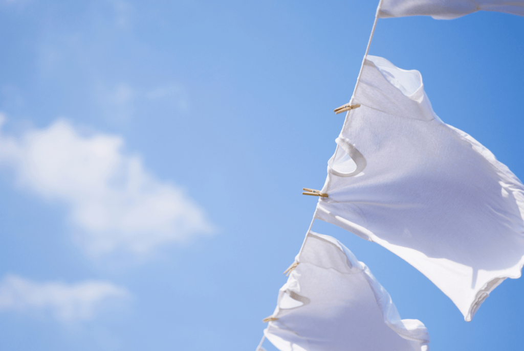 warmtepompdroger of condensdroger